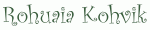 Rohuaia Kohvik logo
